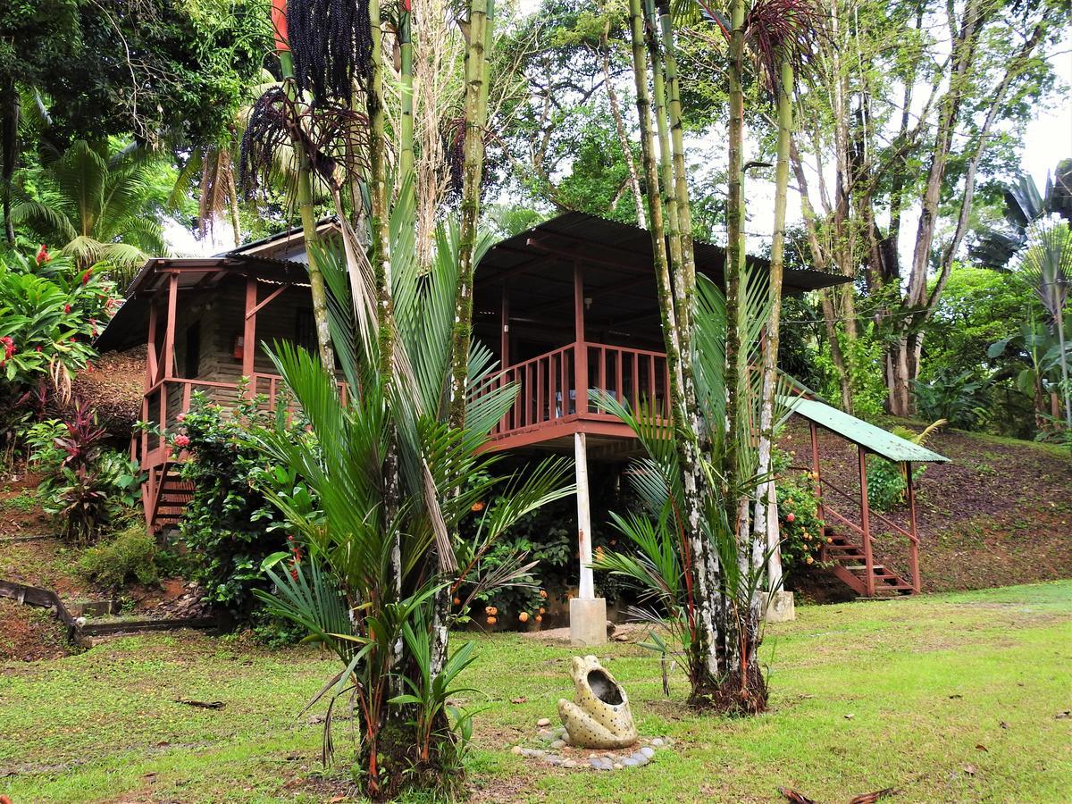 Diquis Del Sur Hotel Ojochal