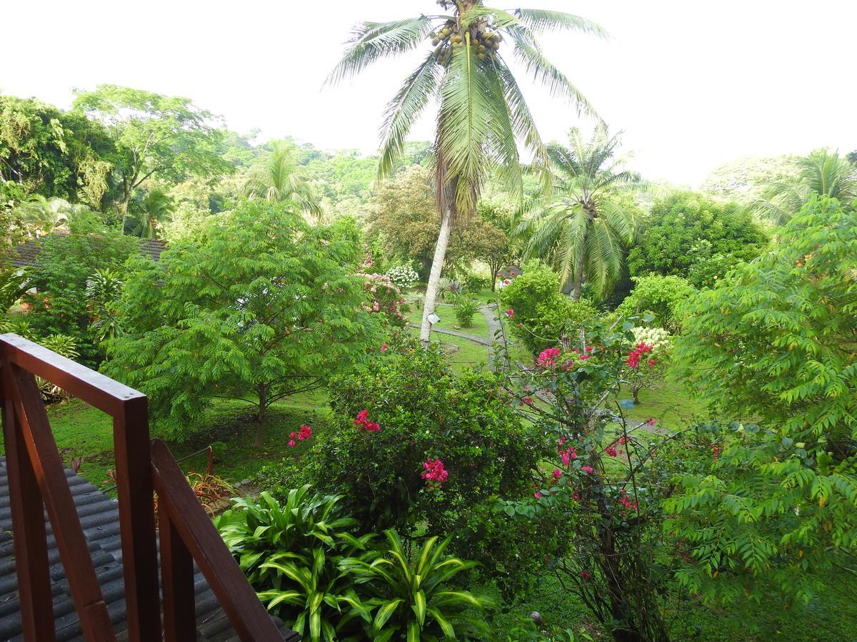 Hotel Diquis Del Sur Ojochal