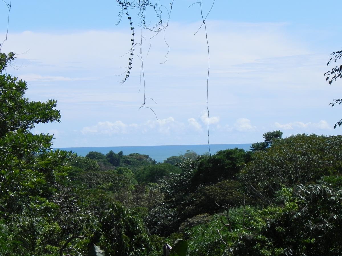 Diquis Del Sur Ojochal